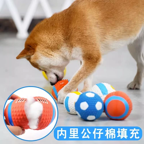 Той -мяч для собак, шлифование щетки щенков, щенки щенка, неразумный артефакт, медведь, золотисто -ретривер