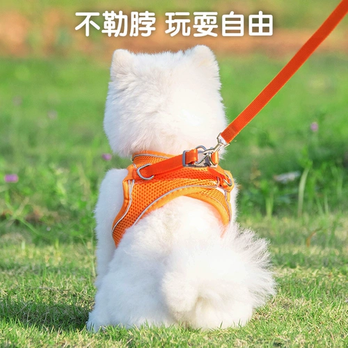 Детка в стиле собак в стиле летающая грудь маленькая и средняя собачья повод