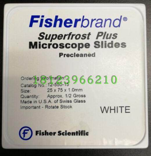 Fisherbrand载玻12-550-15  赛默飞防脱玻片