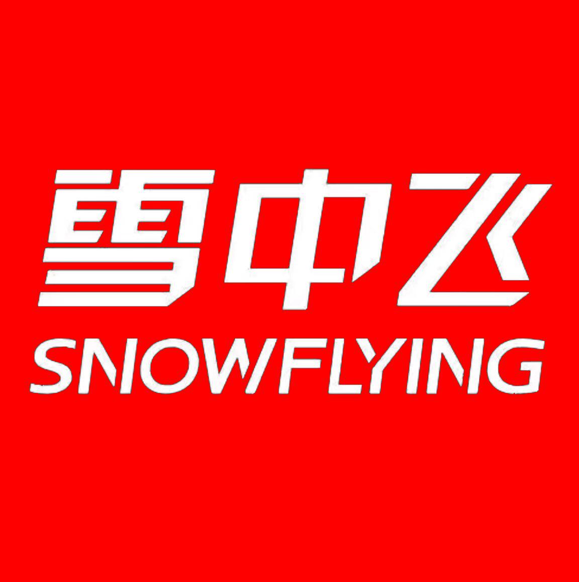 雪中飞羽绒服臻选店