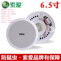 Solove suction top sound box Smallpox Horn Wall-mounted Acoustics Hanging Ball Sound Fire Radio Mall store Background Music