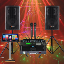 Universal ARCTIC Professional Singing Conference Room Hosting Wedding Celebration Wine Stage KTV Dot Song Machine Sound Microphone Suit
