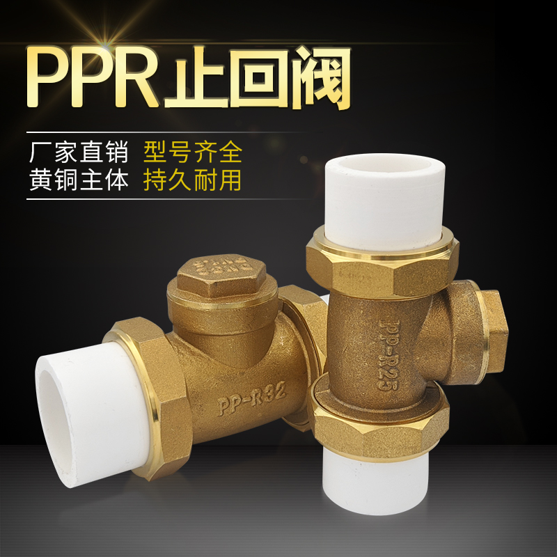 White hot melt pipe copper counterflow valve unilateral valve 202532405063 copper check stop valve 4 minutes 2 inches