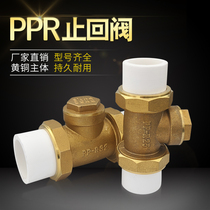 White hot melt pipe copper countercurrent valve unilateral valve 202532405063 copper check water stop valve 4 points 2 inches