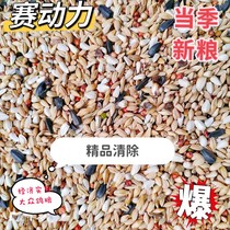 Racing power clear pigeon food moulting down feather pigeon food racing pigeon feed bird food 40 pounds packed Jiangsu Zhejiang Shanghai and Anhui