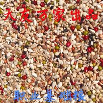 The Tianyou High-end Vocational Foundation Grain Pigeon Grain Professional Qianhao Secret Formula Pigeon Special 5 Jin