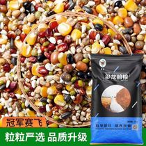 The Fierce Dragon Crown Jun Series High-end Racing Pigeon Grain with corn flying racing pigeon feed 40 catty of Jiang Zhejiang Shanghai