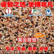 Chinese New Years Crown Opener (Gold Yukon) Professional Racing Pigeon Special Pigeon Grain-Sense 40 Jin