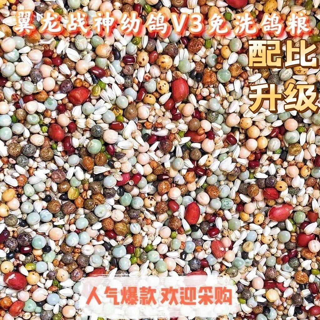 Wingront class V3 young dove grain racing pigeon special letter pigeon food feed 50 kien Zhejiang