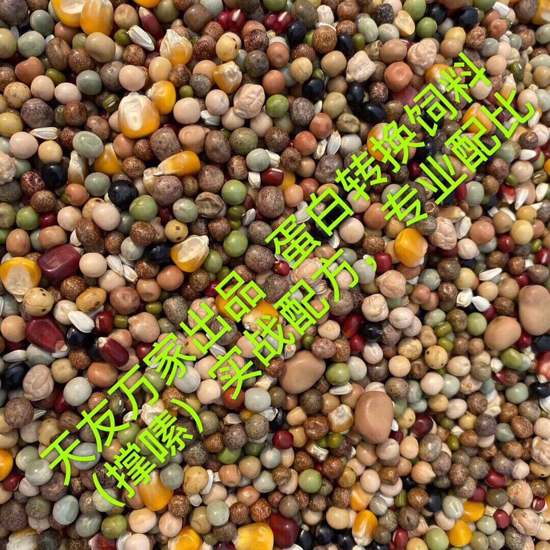 Beijing Tianyou Wanjia professional combat support crop pigeon food protein conversion feed Pigeon food 5 pounds