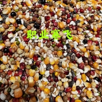 Beijing Tianyou Wanjia Racing Pigeon Food (Professional Racing) Pigeon Food Xin Racing Pigeon Feed 50 Jin Packed Jiangsu and Zhejiang