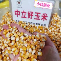 Gansu Medium Grain Yellow Corn Dry Corn Racing Pigeon to Watch Pigeon River and Watch Pigeon River 50 Jin