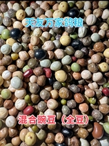 Beijing Tianyou ten thousand Pigeon Grain Professional Real Battle Whole Bean Brace protein conversion feed pigeon grain 40 catty