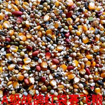 Battle pigeon special A boutique Flying Pigeon food pigeon food pigeon feed carrier pigeon ornamental pigeon grain 50kg