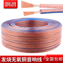 Xiangzhou audio wire speaker wire horn audio connection wire pure copper oxygen-free professional car amplifier modification