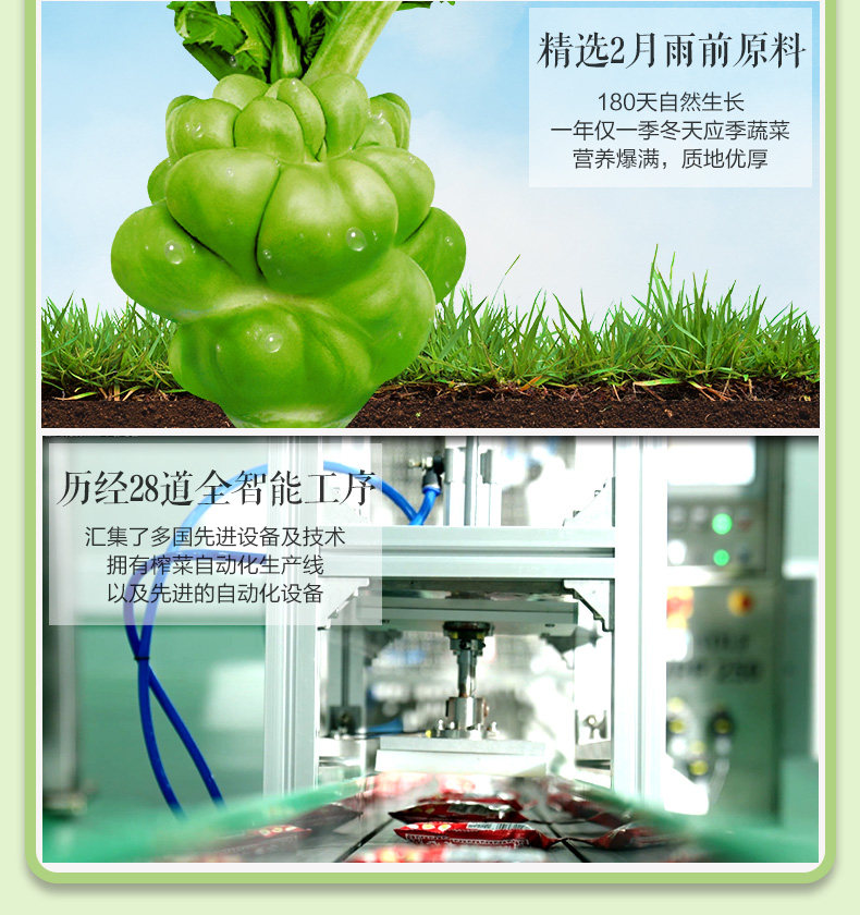 乌江 涪陵榨菜组合 6口味18袋 共1264g 图5