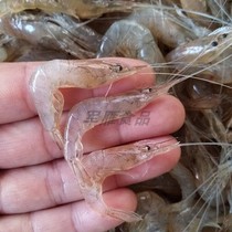 Small river shrimp fresh white shrimp fresh green shrimp red shrimp 1kg medium size about 3-5cm edible live shrimp frozen