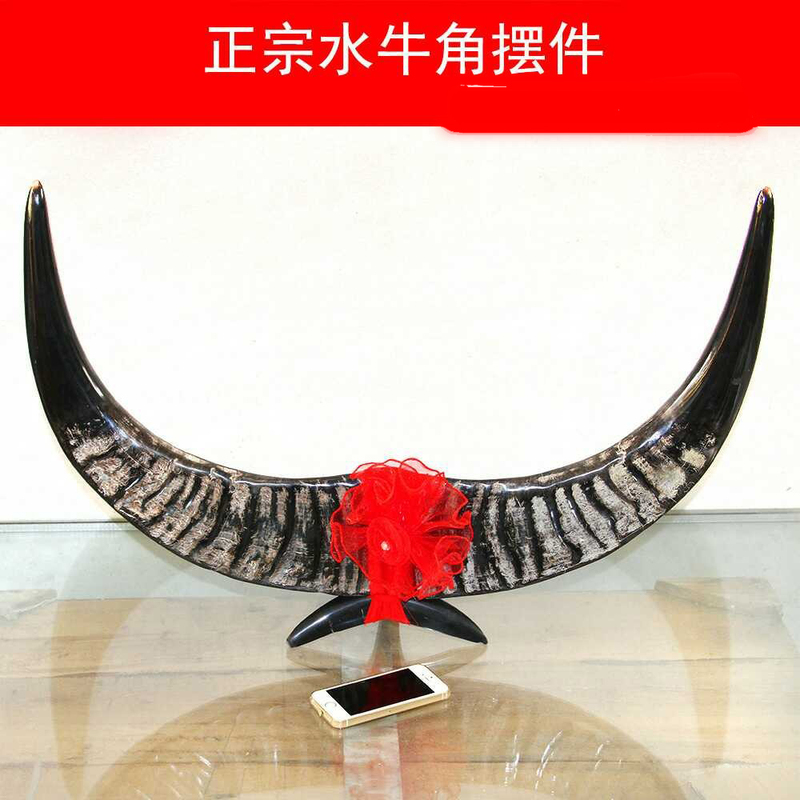 Natural Real Buffalo Horn Diagonal Ornaments Bring Wealth and Treasure, Home Decorations, Horn Crafts Are the Treasure of the Store