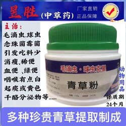 Yusheng Trichomonas Pigeon Medicine Coccidia Nemesis Green Grass Powder 150g Candida Throat White Spots Special for Racing Pigeons