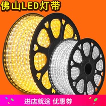  Foshan lighting LED lights with living room ceiling colorful long strip lights Double row lights with high-brightness waterproof led light strips