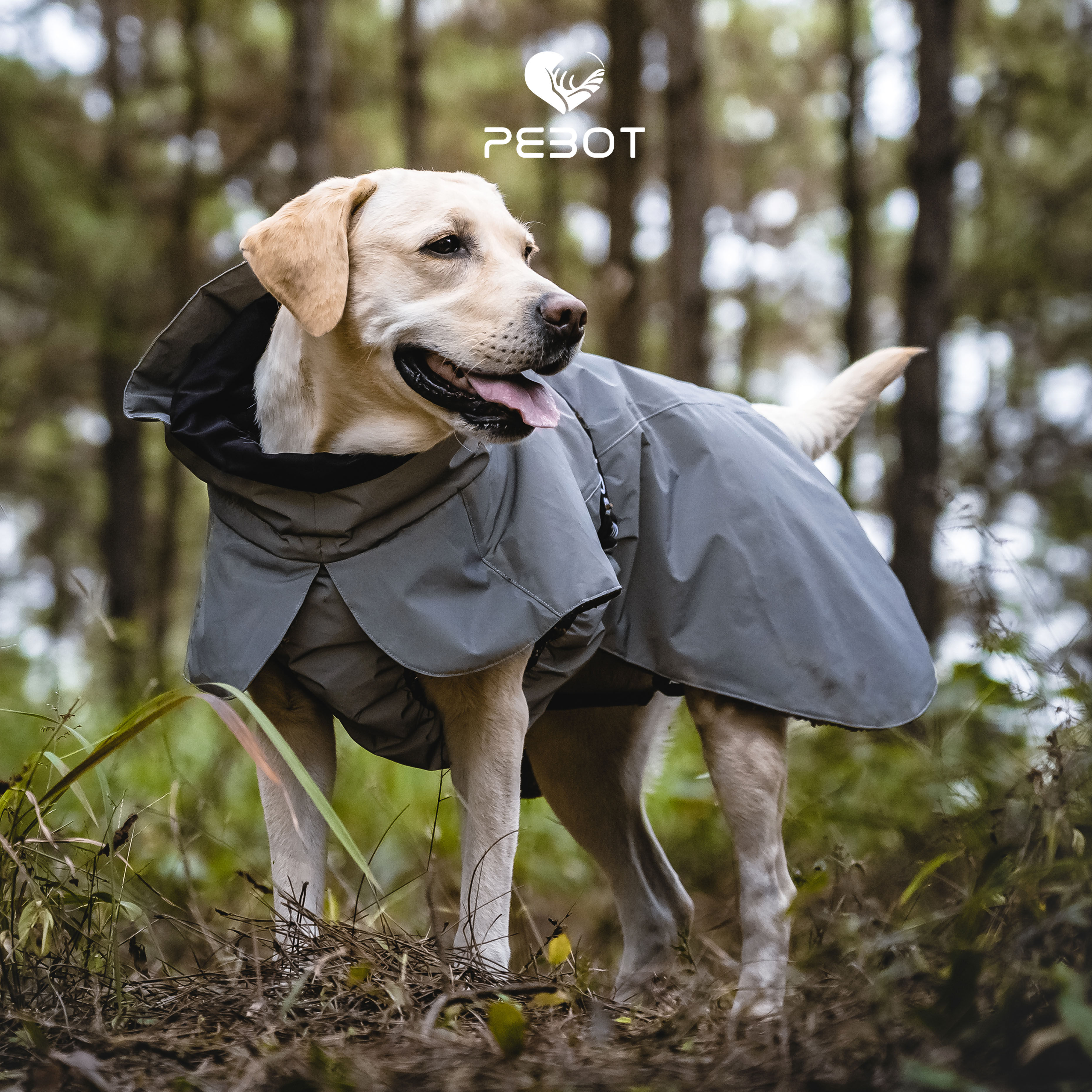 QZee Pebots Starship A23 Thickened Pooch Clothing Raincoat Kokie Reflective Pet Out Warm Cotton Clothes