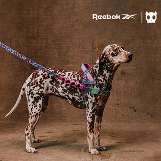 Qzee Shock-Absorbing Leash Zeedog&Reebok Dog Cushioning Hand-Protecting Leash for Medium and Large Dogs Walking Golden Retrievers