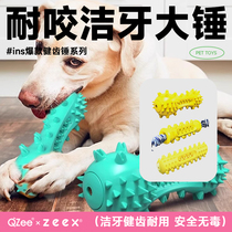 QZee Teeth Cleaning and Molaring Stick Dog Toy Bite-Resistant Sound Massage Small Medium and Large Dogs Golden Retriever Satsuma Brushing Teeth Suction Cup Ball
