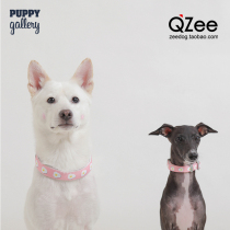 QZee Puppy Gallery Dog Collar Small Medium and Large Dog Golden Hair Corky Teddy Pet Collar
