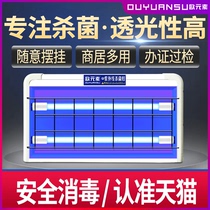 Euro UV disinfection lamp Household hanging sterilization lamp Canteen mobile ozone deodorant mite sterilization lamp