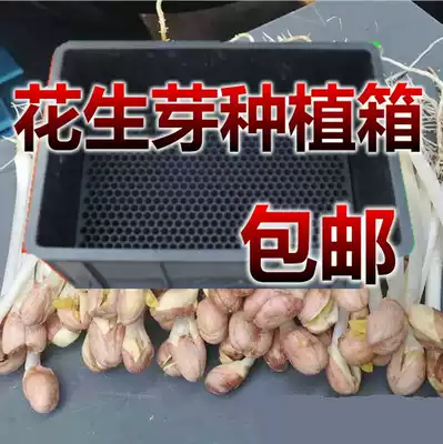 Peanut bud planting box Peanut bud hydroponic box Planting pot germination pot hydroponic box Peanut bud hole plate hydroponic
