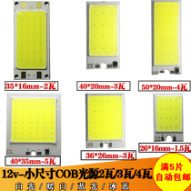 LED12V rectangular light board cob lamp board equipment Lighting LED surface light source lamp beads 3W lamp board 12V lamp beads