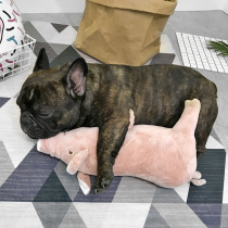 Ffight Sleeping Partner Four Feet Pig Pig French Bulldog Kirchteddy Infighting Bibear Pet Dog Stuffed Toy