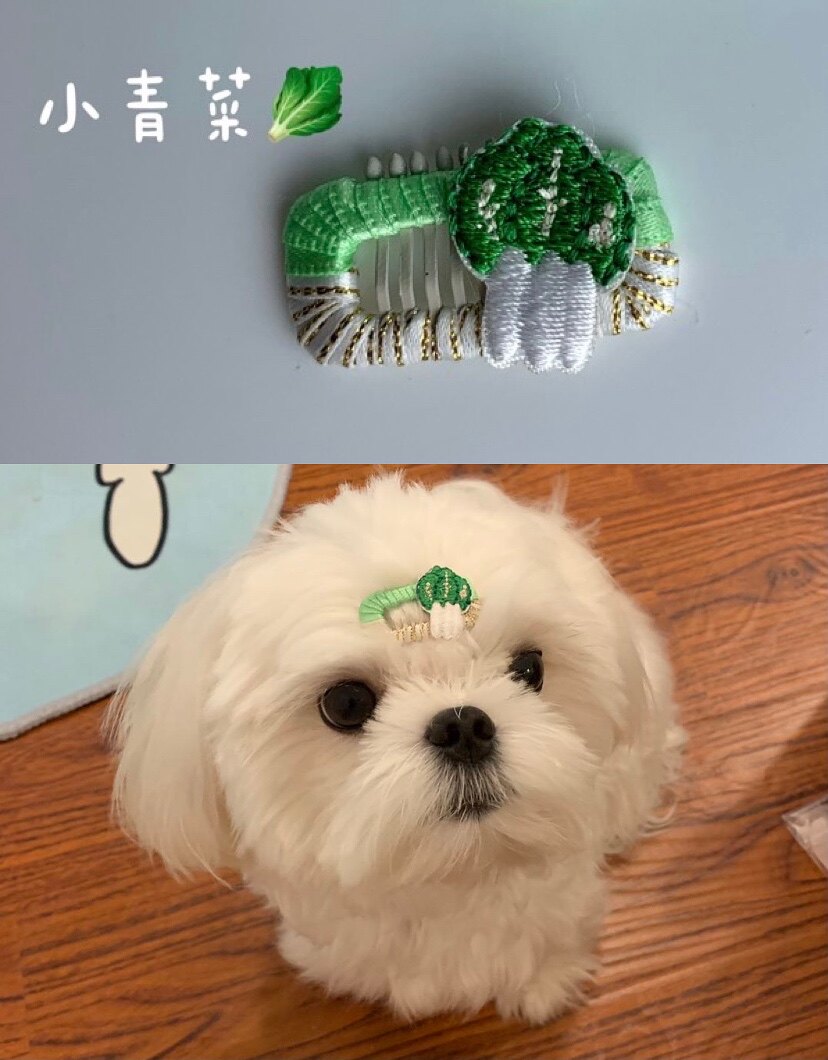Unfinished snail powder small cabbage handmade pet hairpin dog BB clip comb clip Maltese Yorkshire