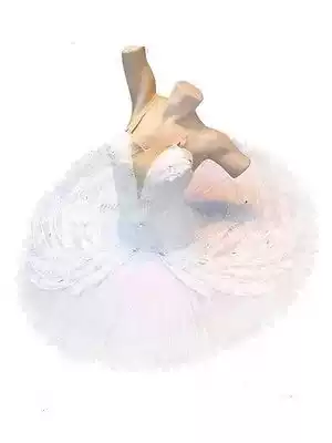Children Adult Ballet Dress White Photo Swan Lake Sleeping Beauty TUTU Dress Little Swan Dance Performance