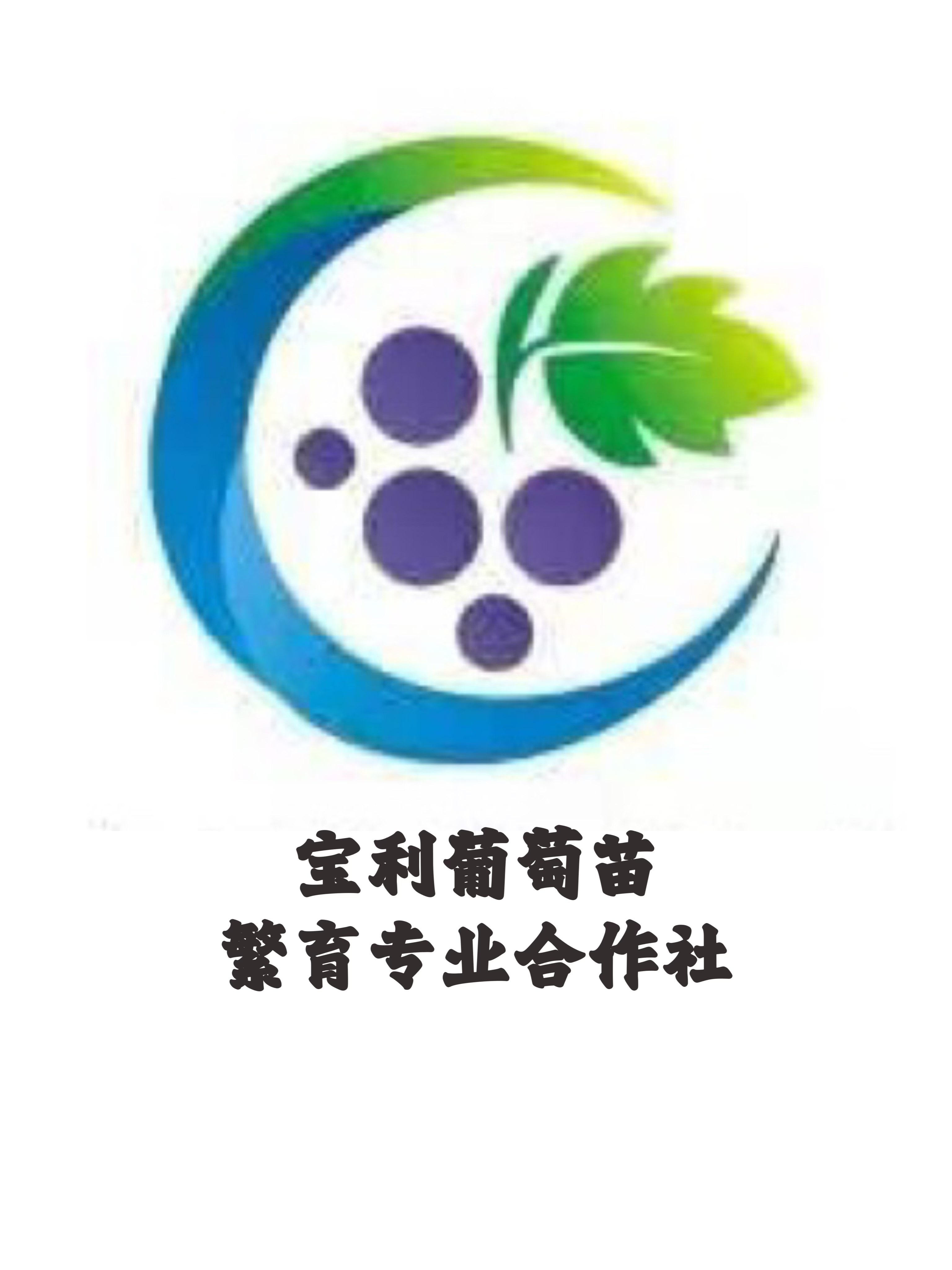 宝利苗木
