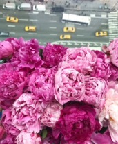 New trailer on November 11th ~~~-Double Eleven is coming