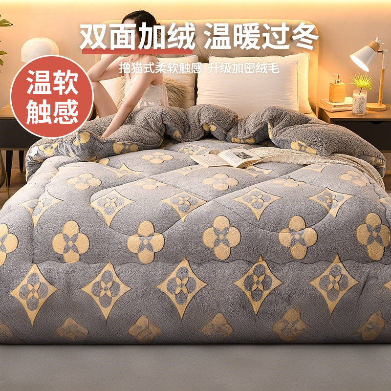 Antarctic Winter Lamb Wool Quilt, Single Thickened Warm Milk Velvet Cotton Quilt, Quilt Core for Dormitory, Spring and Autumn Quilt