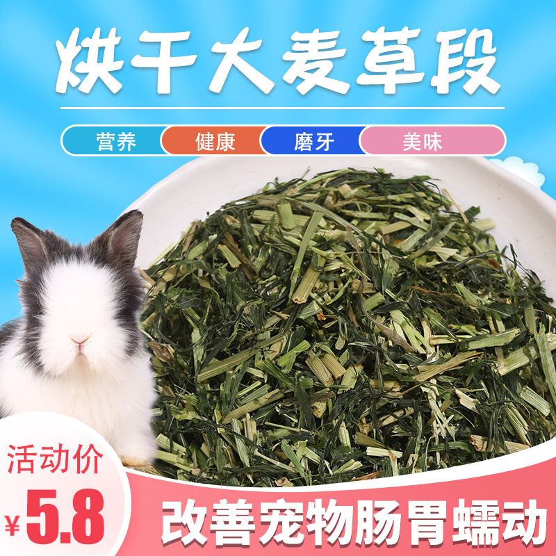 Large Wheat Grass Section Wheat Miao Rabbit Grain Drying Wheat Miao Pet Rabbit Dragon Cat Feed And Other Pasture Grass