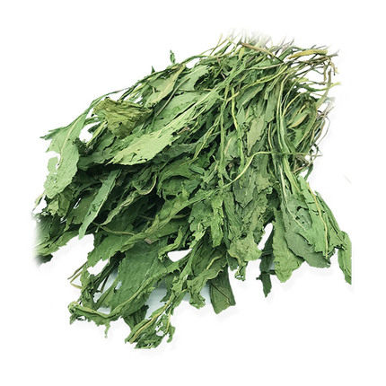 ZOHO Chinchilla Guinea pig snack Dried rabbit Dandelion standing health grass Heat detoxification anti-inflammatory supplies 40g