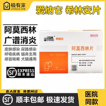 Love Nana it Hillinan amamoxicillin Pet Cat Dog Cold Cough Pneumonia Tracheitis Cat Rhinodontitis