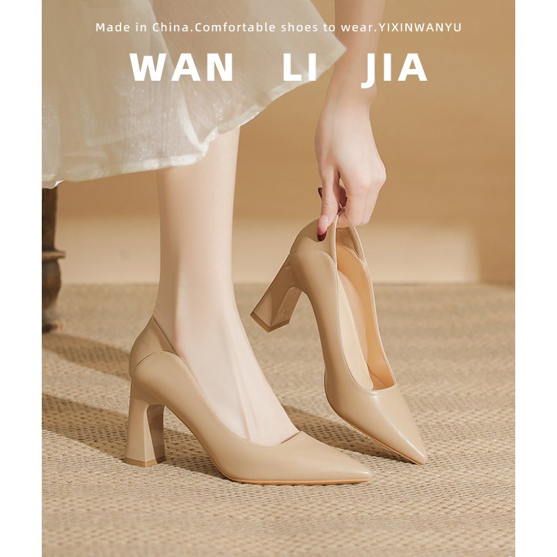 Nude High-Heeled Shoes for Women, Chunky Heel, 2026 New Style, Pointed Toe, Elegant Professional Work Shoes, Commuting Soft Leather, Comfortable and Not Tiring