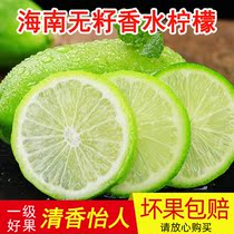 Fresh Hainan Perfume Lemon Gift Box 8 Seasonal Fruit Milk Tea Juicy Green Lemon FCL Single Fruit 100g