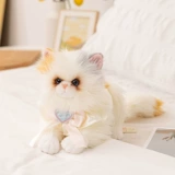 Оригинальный милый реалистичный рюкзак, кукла, новая коллекция, котенок, кот, подарок на день рождения