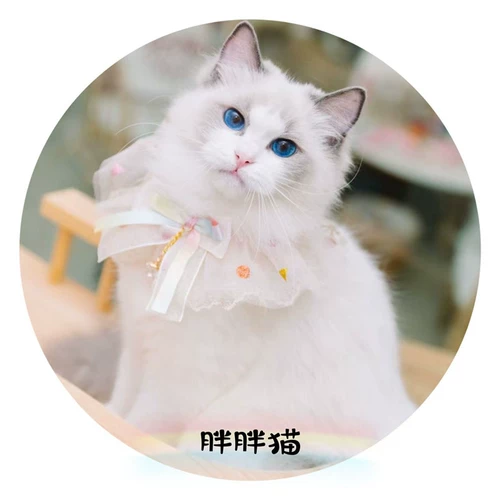 Кружевной слюнявчик для принцессы, милый шарф с бантиком, нагрудник, аксессуар