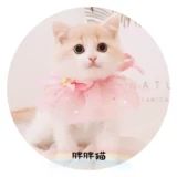 Кружевной нагрудник, слюнявчик для принцессы, милый шарф