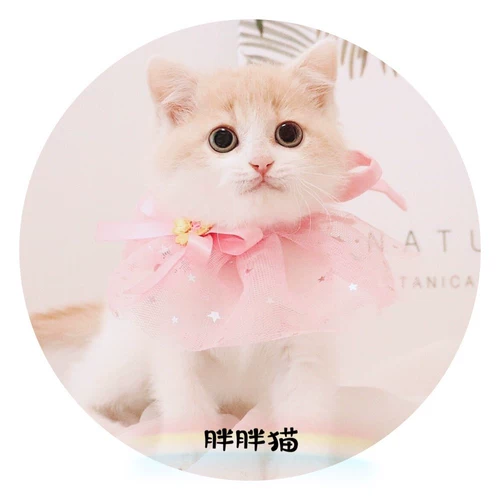 Кружевной нагрудник, слюнявчик для принцессы, милый шарф