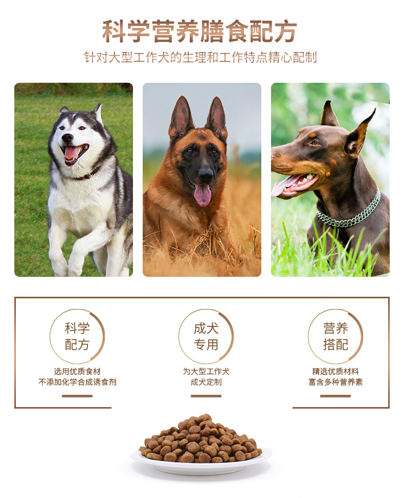 Thức ăn cho chó cao 15kg chó làm việc lớn đặc biệt chủ yếu hạt ngũ cốc chăn nuôi gia súc mục vụ Labrador phổ biến thức ăn cho chó - Chó Staples thức ăn chó ganador