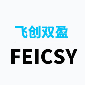 FEICSY的LOGO