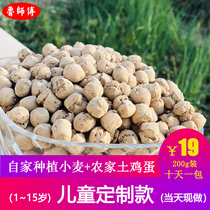 (Shun) New goods old Lu Ji hand-fried Qi Shanxi soil fried Chessen Chessen beans