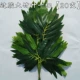 Dajiao Bamboo Leaf [20 ветвь]